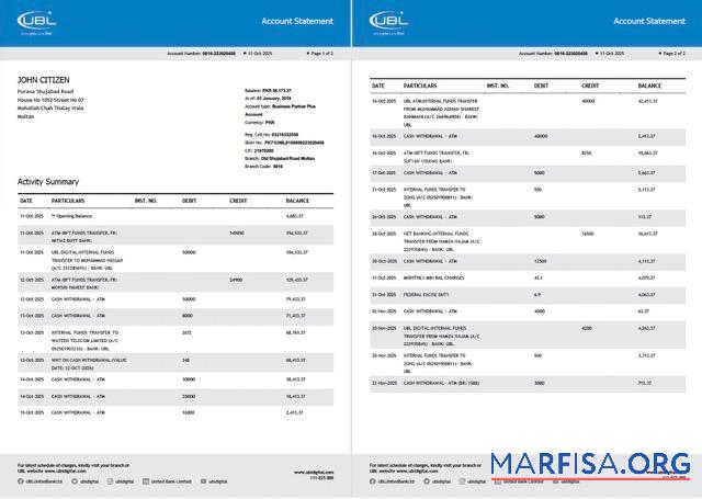 Realistic Pakistan United Bank Limited account statement word 2 pages sample
